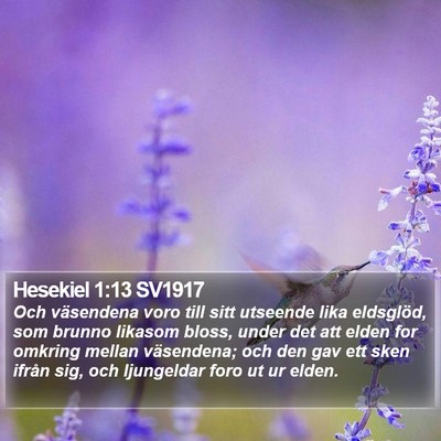 Hesekiel 1:13 SV1917 Bible Verse Image