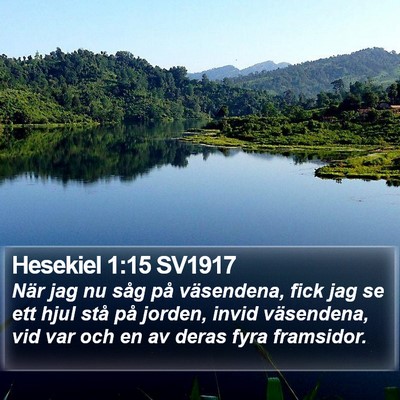 Hesekiel 1:15 SV1917 Bible Verse Image