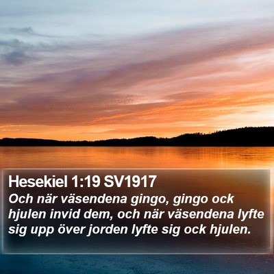 Hesekiel 1:19 SV1917 Bible Verse Image