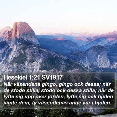 Hesekiel 1:21 SV1917 Bible Verse Image