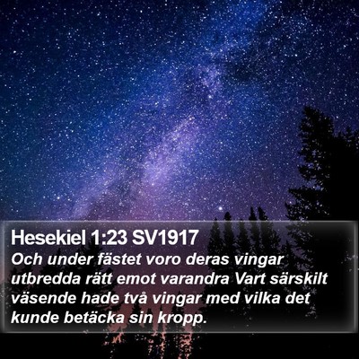 Hesekiel 1:23 SV1917 Bible Verse Image