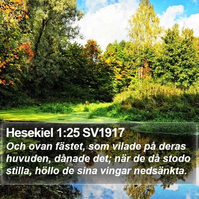 Hesekiel 1:25 SV1917 Bible Verse Image