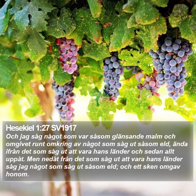 Hesekiel 1:27 SV1917 Bible Verse Image