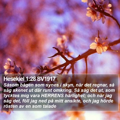 Hesekiel 1:28 SV1917 Bible Verse Image