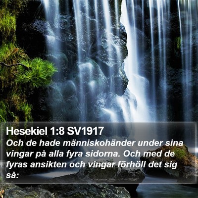 Hesekiel 1:8 SV1917 Bible Verse Image