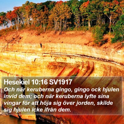 Hesekiel 10:16 SV1917 Bible Verse Image