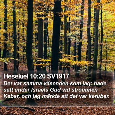 Hesekiel 10:20 SV1917 Bible Verse Image
