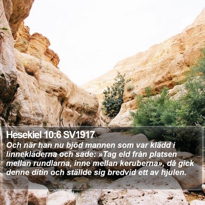 Hesekiel 10:6 SV1917 Bible Verse Image
