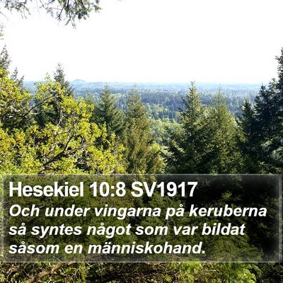 Hesekiel 10:8 SV1917 Bible Verse Image