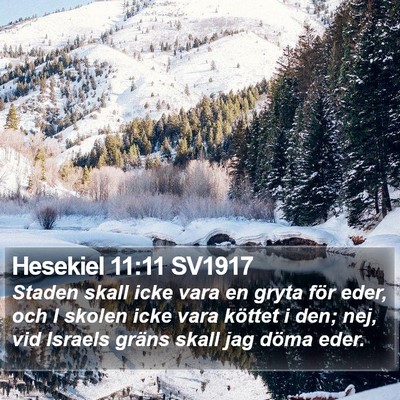 Hesekiel 11:11 SV1917 Bible Verse Image