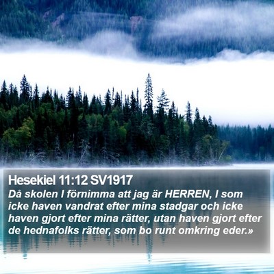 Hesekiel 11:12 SV1917 Bible Verse Image