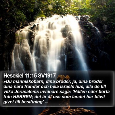 Hesekiel 11:15 SV1917 Bible Verse Image