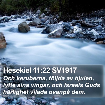Hesekiel 11:22 SV1917 Bible Verse Image