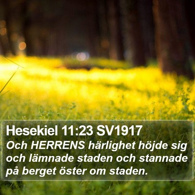 Hesekiel 11:23 SV1917 Bible Verse Image