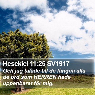 Hesekiel 11:25 SV1917 Bible Verse Image