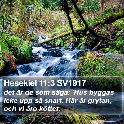 Hesekiel 11:3 SV1917 Bible Verse Image