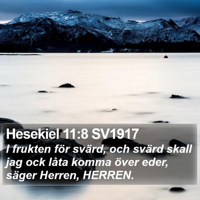 Hesekiel 11:8 SV1917 Bible Verse Image