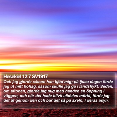 Hesekiel 12:7 SV1917 Bible Verse Image