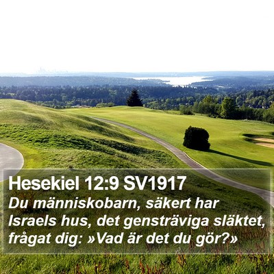 Hesekiel 12:9 SV1917 Bible Verse Image