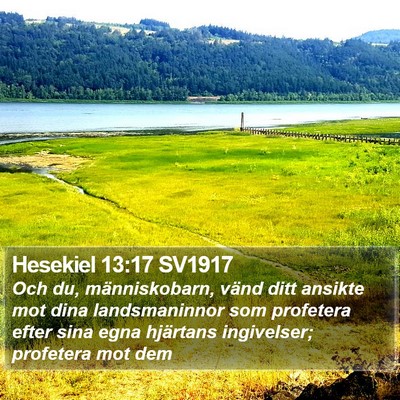 Hesekiel 13:17 SV1917 Bible Verse Image