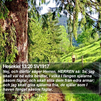 Hesekiel 13:20 SV1917 Bible Verse Image