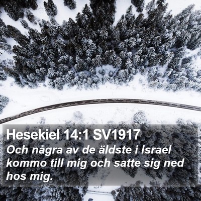 Hesekiel 14:1 SV1917 Bible Verse Image
