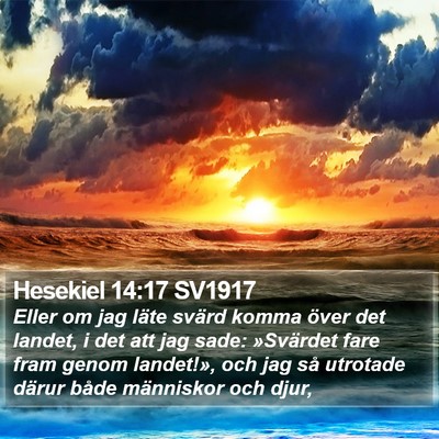 Hesekiel 14:17 SV1917 Bible Verse Image