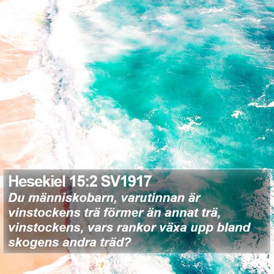 Hesekiel 15:2 SV1917 Bible Verse Image