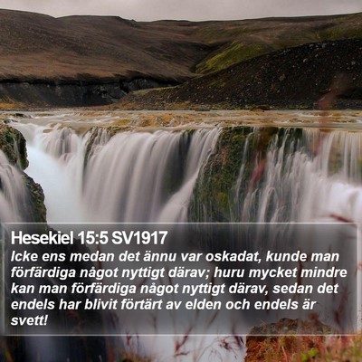 Hesekiel 15:5 SV1917 Bible Verse Image