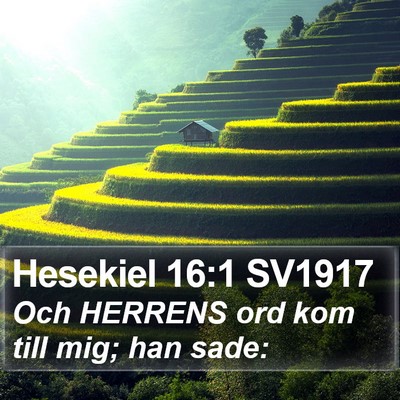 Hesekiel 16:1 SV1917 Bible Verse Image