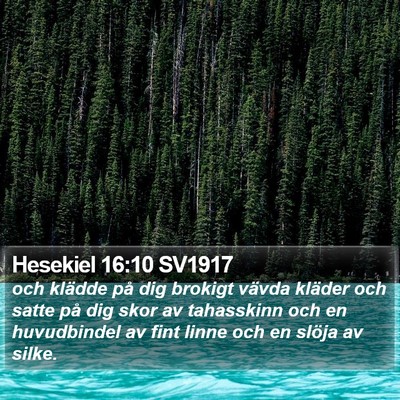 Hesekiel 16:10 SV1917 Bible Verse Image
