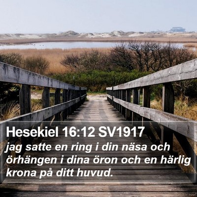 Hesekiel 16:12 SV1917 Bible Verse Image