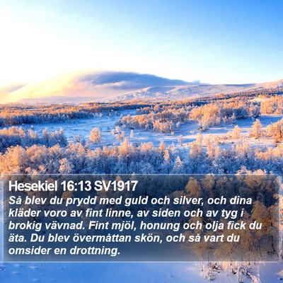 Hesekiel 16:13 SV1917 Bible Verse Image
