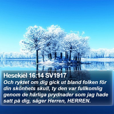 Hesekiel 16:14 SV1917 Bible Verse Image
