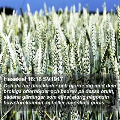 Hesekiel 16:16 SV1917 Bible Verse Image