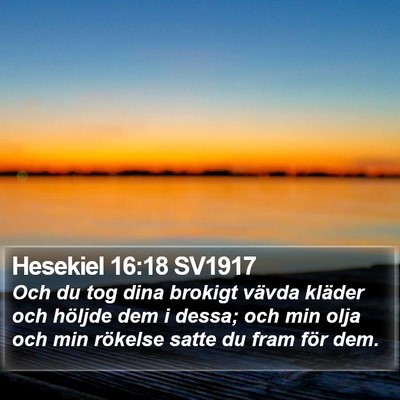 Hesekiel 16:18 SV1917 Bible Verse Image