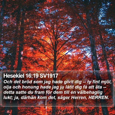 Hesekiel 16:19 SV1917 Bible Verse Image