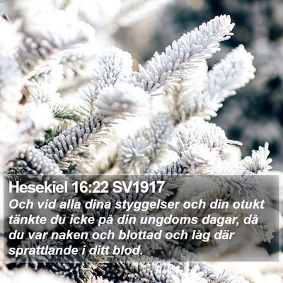 Hesekiel 16:22 SV1917 Bible Verse Image