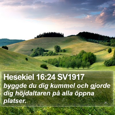 Hesekiel 16:24 SV1917 Bible Verse Image