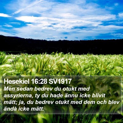 Hesekiel 16:28 SV1917 Bible Verse Image