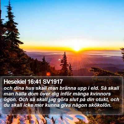 Hesekiel 16:41 SV1917 Bible Verse Image