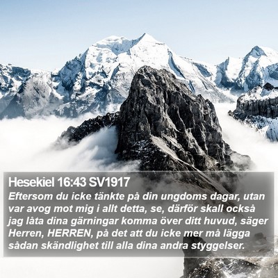 Hesekiel 16:43 SV1917 Bible Verse Image
