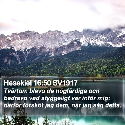 Hesekiel 16:50 SV1917 Bible Verse Image