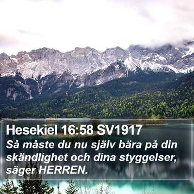 Hesekiel 16:58 SV1917 Bible Verse Image