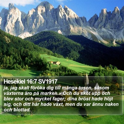 Hesekiel 16:7 SV1917 Bible Verse Image
