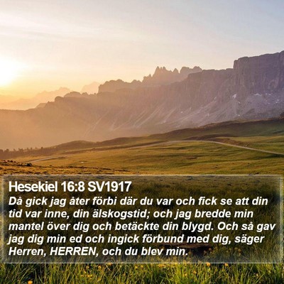 Hesekiel 16:8 SV1917 Bible Verse Image