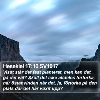 Hesekiel 17:10 SV1917 Bible Verse Image