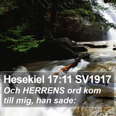 Hesekiel 17:11 SV1917 Bible Verse Image