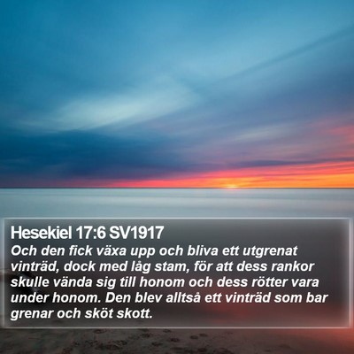 Hesekiel 17:6 SV1917 Bible Verse Image