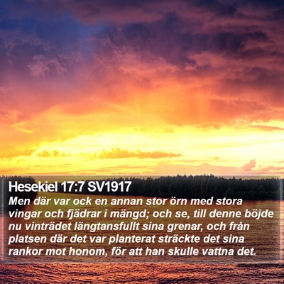Hesekiel 17:7 SV1917 Bible Verse Image